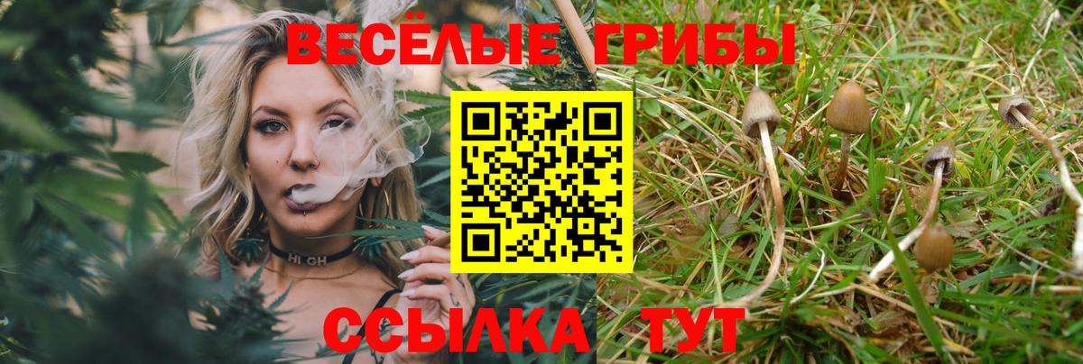 Псилоцибиновые грибы ЛСД Корсаков