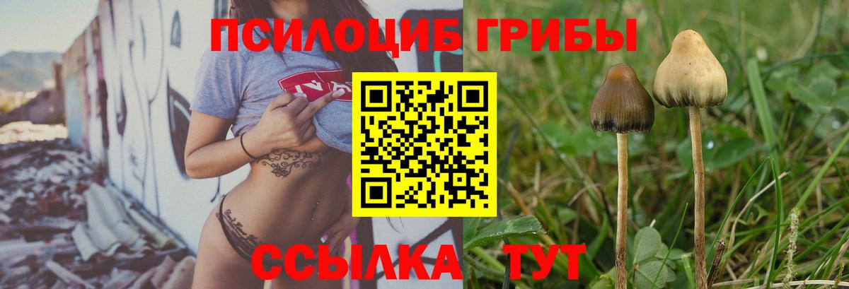Псилоцибиновые грибы Psilocybe  Вход с VPN  Корсаков  Галлюциногенные грибы Psilocybine cubensis 